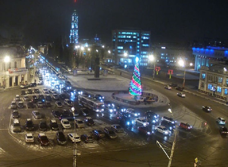 Три тысячи ёлок заготовят для продажи на Новый год в Новгородской области