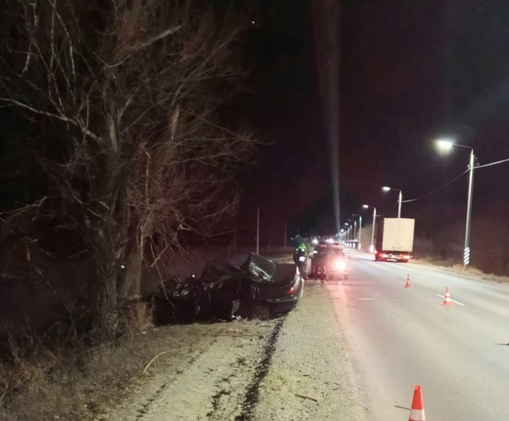 В Тамбовской области водитель иномарки врезался в дерево и погиб