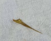 рыбная кость