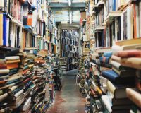 В Рязанской области молодая парочка обокрала местную администрацию и библиотеку