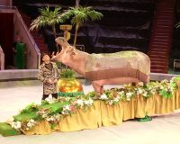 В Ярославском цирке представили яркое «Тропик шоу»