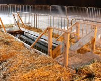 В Рязани и по всей области состоятся традиционные Крещенские купания