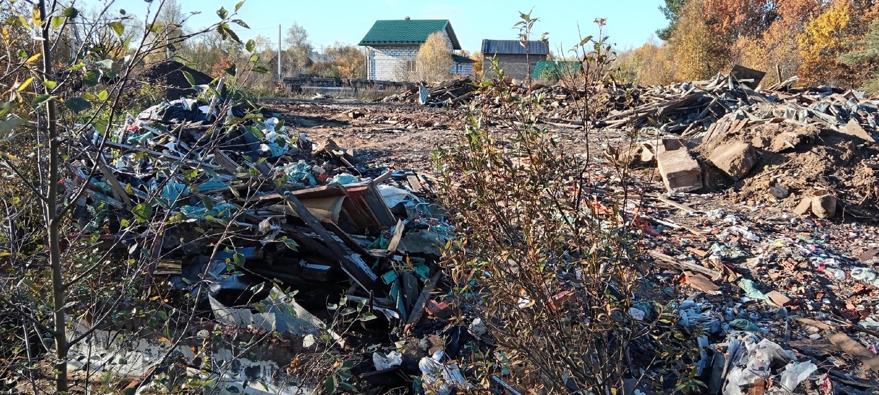В новгородском Пролетарии бьют тревогу по поводу экологической ситуации