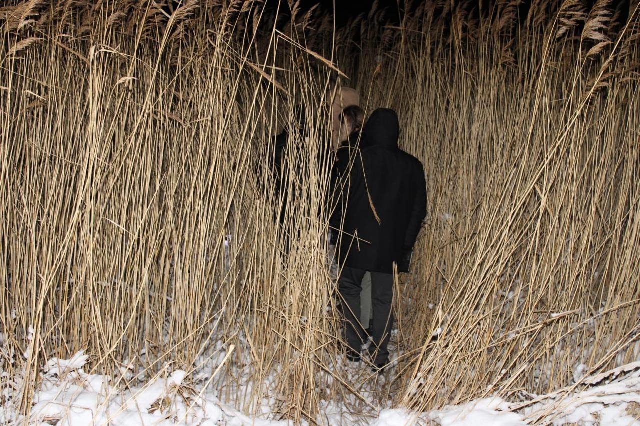 Тамбовчанин убил друга на рыбалке и спрятал тело в заросли камышей