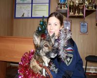 Хабаровский край