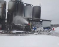 На асфальтовом заводе в Новгородском районе произошёл крупный пожар