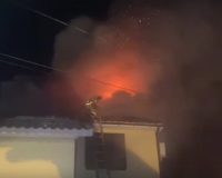 кошка спасла хозяев