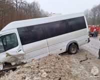 В Тульской области в ДТП с маршруткой и «Нивой» пострадали 10 человек