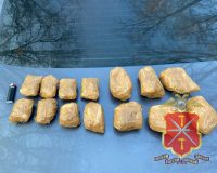 Тульские сыщики задержали 22-летнюю девушку с двумя кило наркотиков