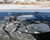 В Рязанской области в Шиловском районе на затоне рыбак провалился под лед и утонул