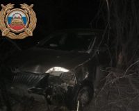 врезались в дерево