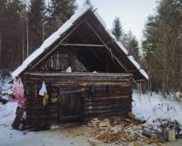 тигр напал в зимовье