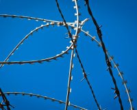 В Рязанской области пока пенсионерка находилась на огороде, рецидивистка забрала из ее дома полмиллиона рублей