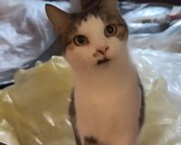 d2ca2a508846b9ec013031e2a37a430f03175971676