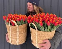 Фермерша Елена Коткова из Рязанского района собрала первый урожай тюльпанов