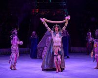 Жаркие тропики в ярославском цирке