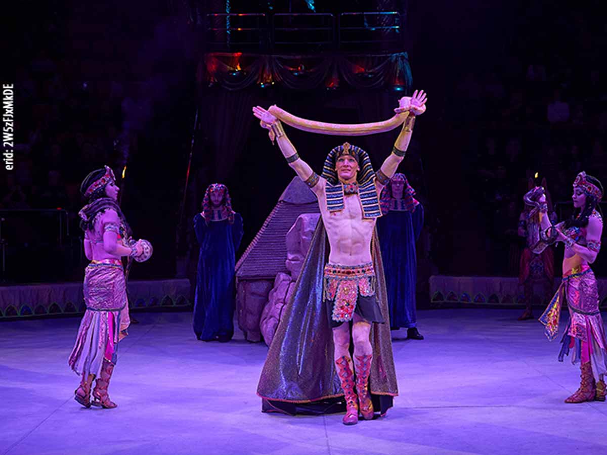 Жаркие тропики в ярославском цирке