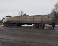 Туляк попался на перевозке 24 краденых коров с фермерского хозяйства