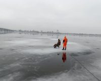 сняли со льда