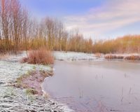 В Тульской области в слетевшей в реку «пятерке» погиб водитель
