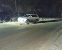 В Тульской области женщина на «Киа Соренто» сбила двух парней