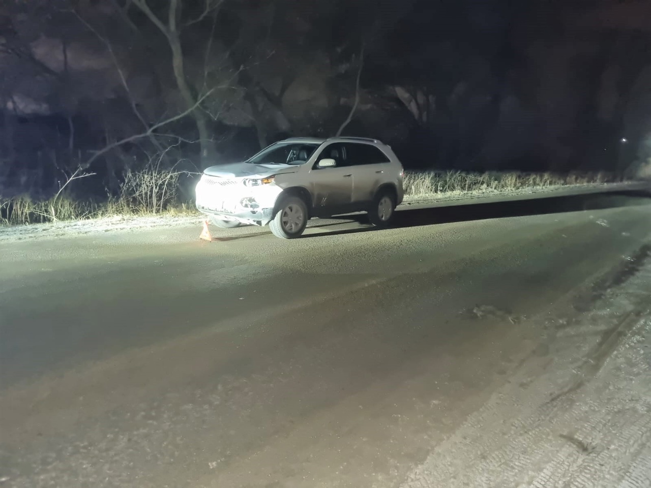 В Тульской области женщина на «Киа Соренто» сбила двух парней