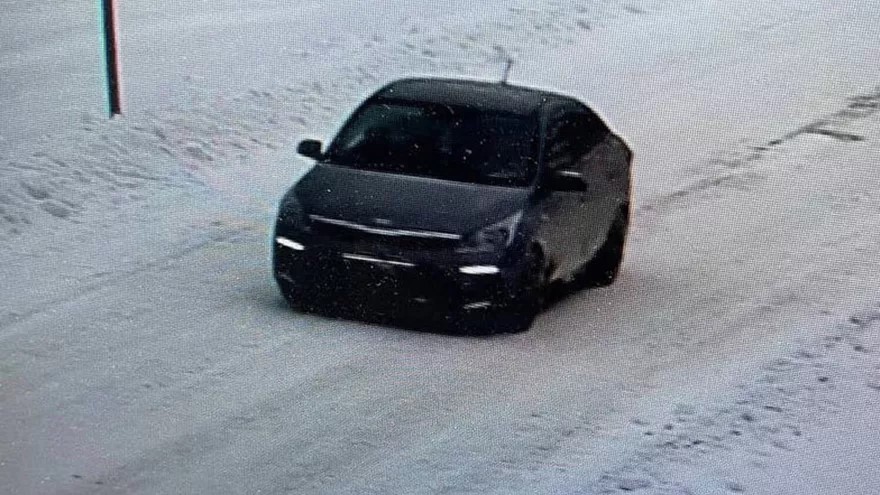 похитители