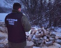 В Новгородской области мужчину насмерть придавило упавшим деревом