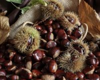 roberto-patti-guzhqrk-tdu-unsplash10234699214