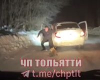 убийство лисы