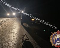 В Тульской области «пирожок» насмерть сбил пожилого мужчину