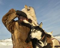 Предвесенние вечера: Wink.ru представляет премьеры, с которыми февраль пролетит быстро и нескучно