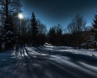 В Рязанской области охотник на машине сбил представителя министерства природы