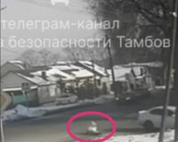 В Тамбове сбитая на «зебре» иномаркой девушка находится в реанимации