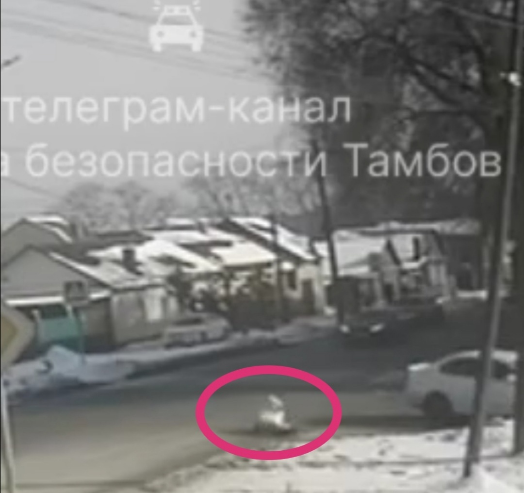 В Тамбове сбитая на «зебре» иномаркой девушка находится в реанимации