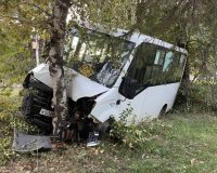 дтп с деревом