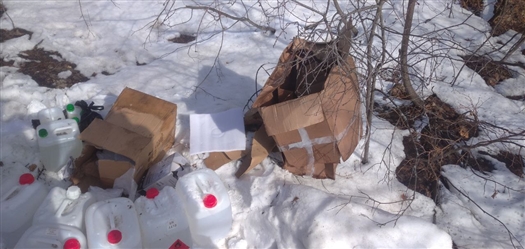 опасные вещества