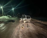 насмерть сбил