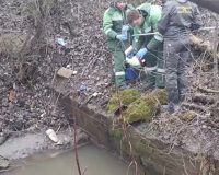 В Санкт-Петербурге река окрасилась в красный цвет и распространила резкий химический запах