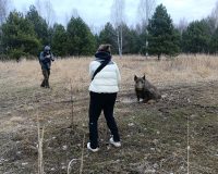 В Рязанской области в Окском заповеднике известный фотограф-натуралист устроил кабанам фотосессию