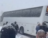 В Тульской области из-за снега автобус с работниками Wildberries съехал в кювет
