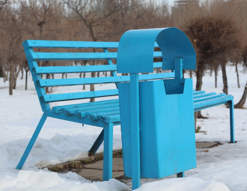 В Тамбовской области житель наукограда украл из парка восемь железных урн