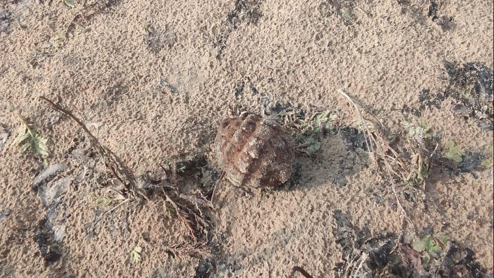 В Рязанском районе в селе Шумашь нашли гранату времен Первой мировой войны