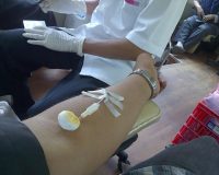 Более 7390 человек в Рязанской области являются донорами крови