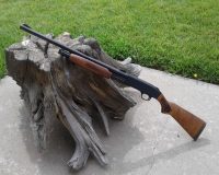 В Рязанской области планируется начать весенне-летнюю охоту на неделю раньше, чем в прошлом году