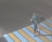 Жителя Тутаева Ярославской области будут судить за кражу елки с украшениями.