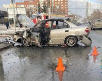 дтп из-за собаки