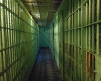 В Москве задержали курьера мошенников, обманувших пенсионерку на 19 миллионов рублей