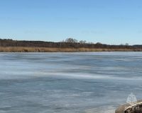 В Туле легковушка решила проскочить перед трамваем и врезалась в него