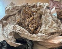 женьшень в плавках